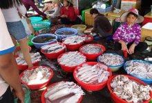 Top 4 địa chỉ mua hải sản tươi sống ngon nhất Đà Nẵng 2