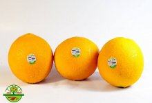 Top 8 Cửa hàng bán trái cây ngoại nhập chất lượng nhất TPHCM 1